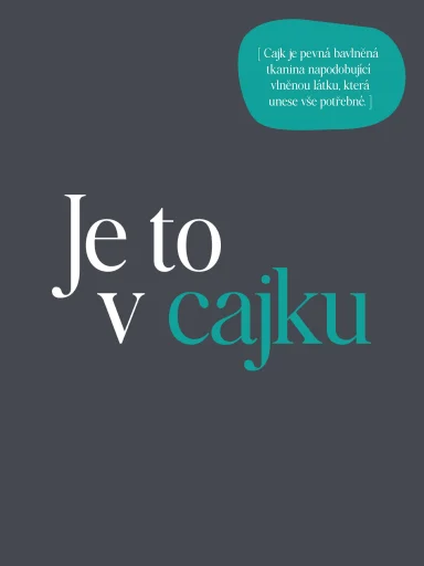 AGEN Pánske tričko šedé s potlačou Cajk