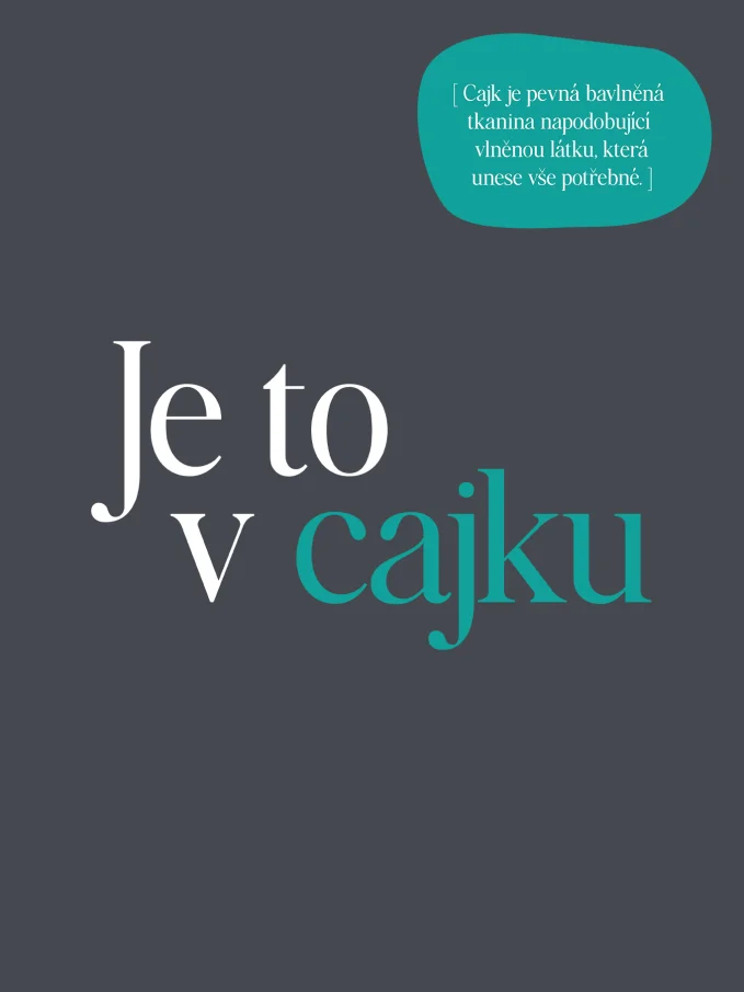 AGEN Pánske tričko šedé s potlačou Cajk